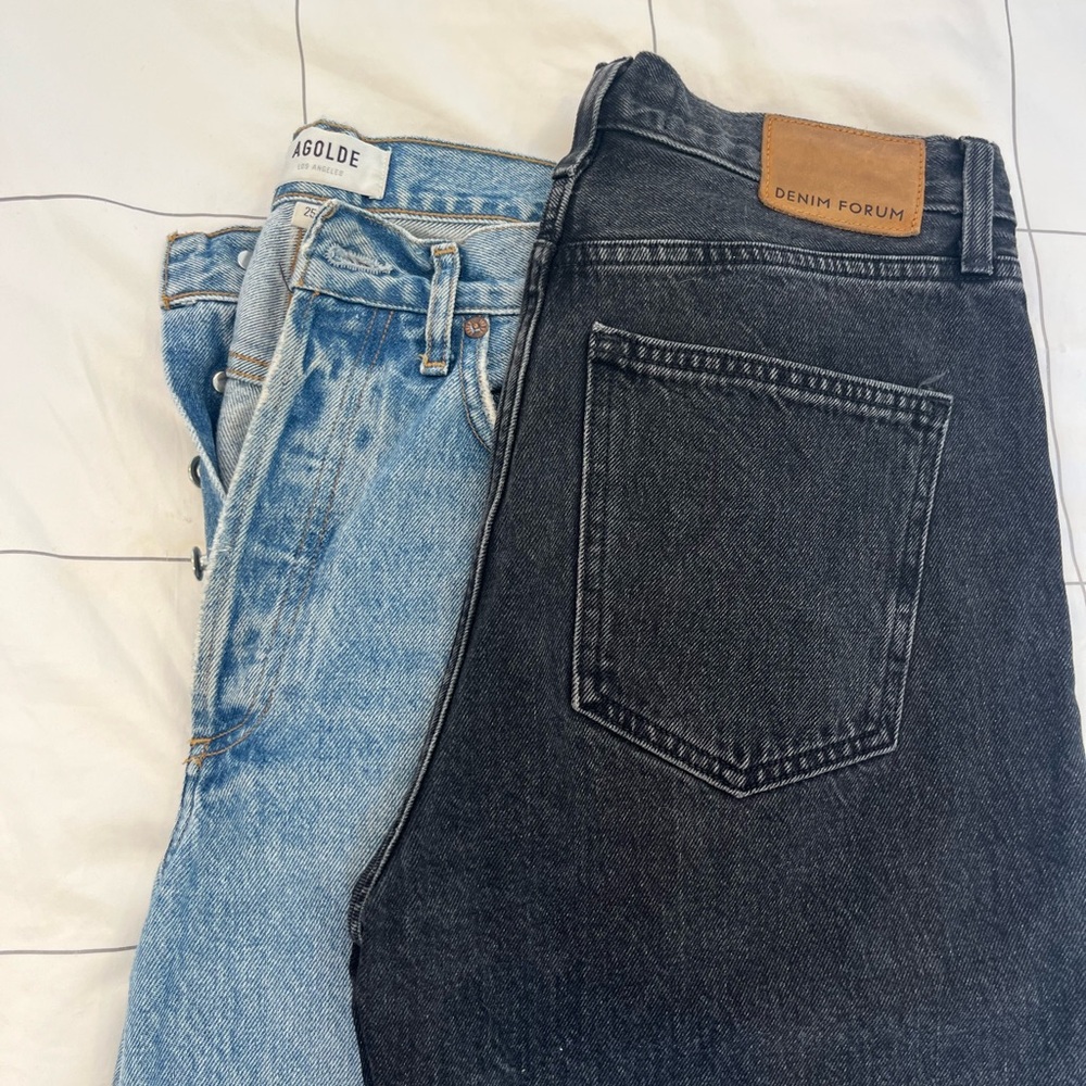 Aritzia Denim Duo (Agolde and Denim Forum)